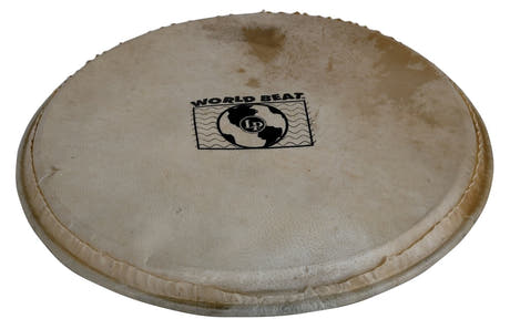 Latin Percussion Pundistussoittimet head Plenera - 10" (WB505B)