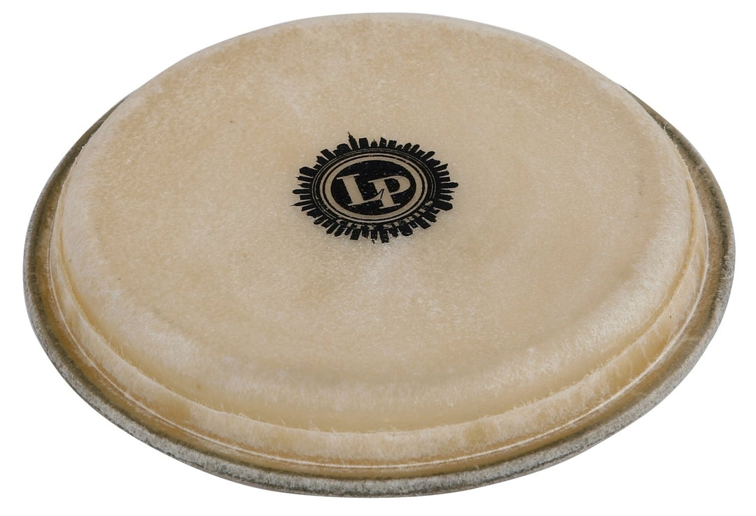 Latin Percussion Bongo kalvo City EZ Curve Rim - 7,5" Hembra (LP663B)
