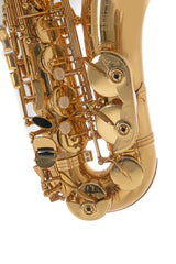 Roy Benson Eb-Alto Saxophone Roy Benson AS-202 - AS-202