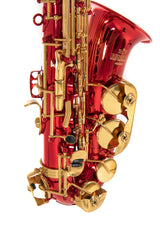Roy Benson Eb-Alto Saxophone Roy Benson AS-202R - AS-202R