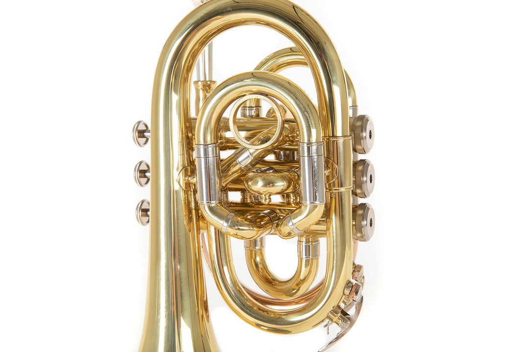 Roy Benson Bb-taskutrumpetti Roy Benson PT-302 - PT-302