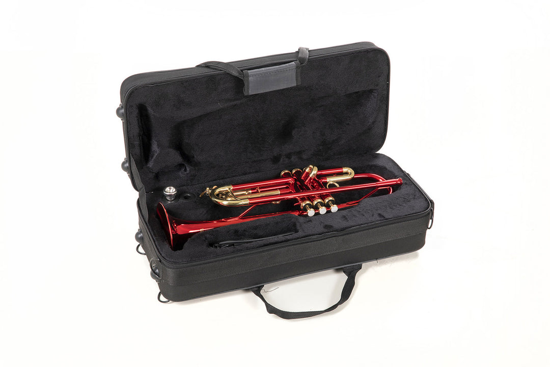 Roy Benson Bb-trumpetti Roy Benson TR-101R - TR-101R