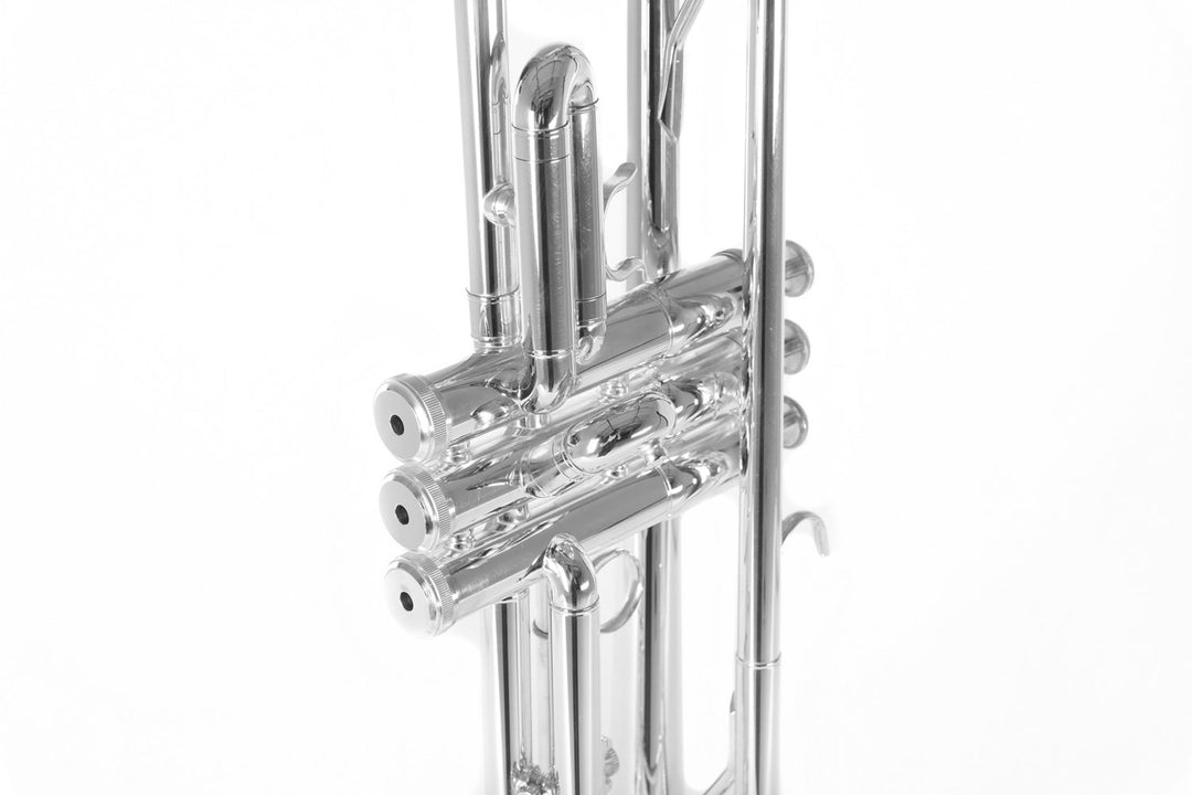 Roy Benson Bb- trumpetti Roy Benson TR-202S - TR-202S