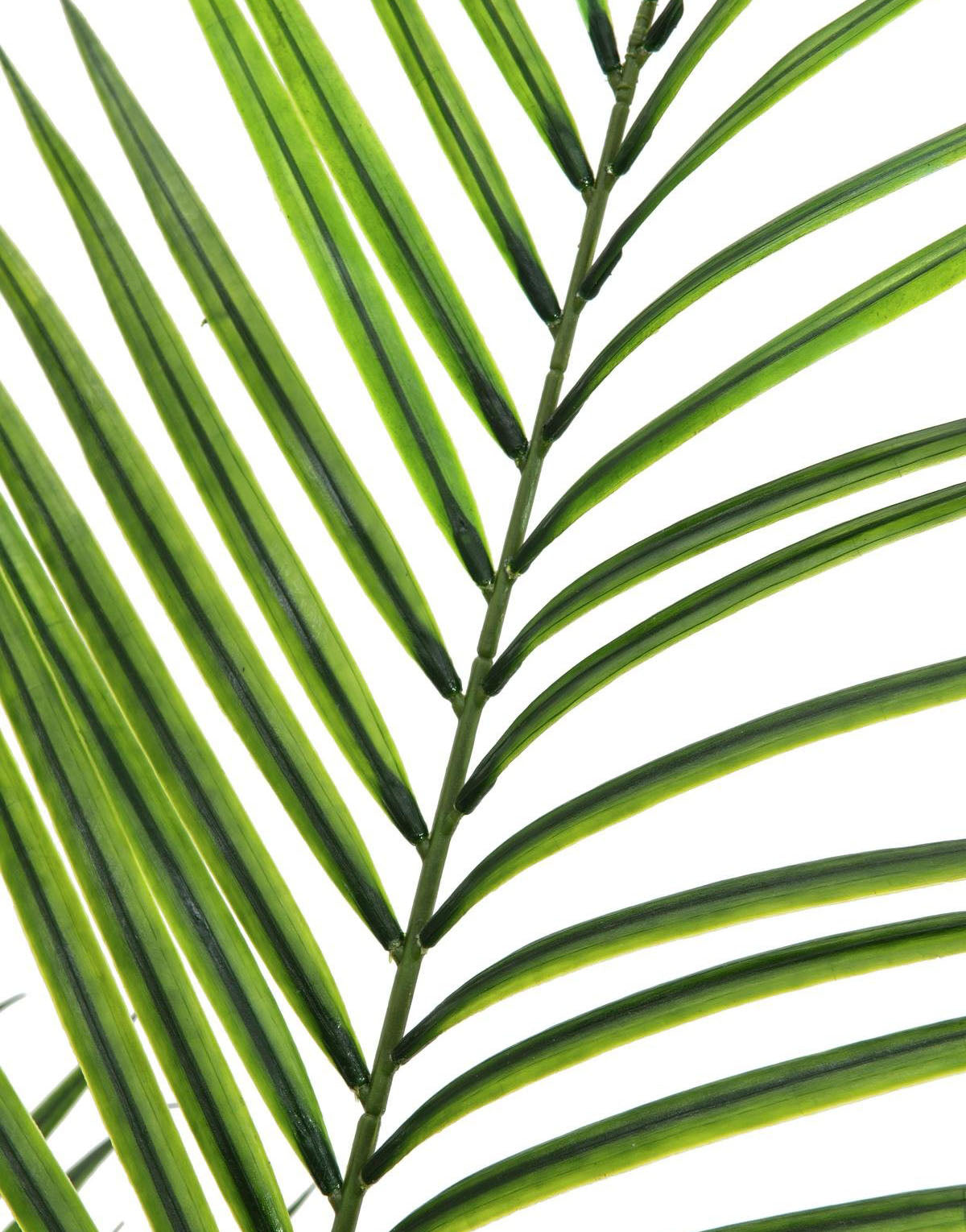 Keinotekoinen Areca palmu suurilla lehdillä (165cm)