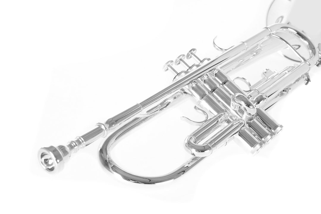 Roy Benson Bb- trumpetti Roy Benson TR-202S - TR-202S