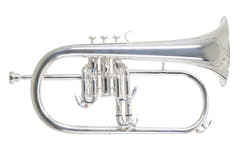 Roy Benson Bb-Valthorn Roy Benson FH-302S - FH-302S