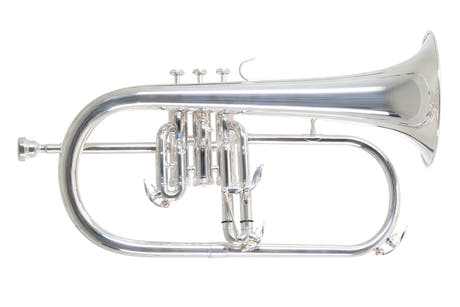 Roy Benson Bb-Valthorn Roy Benson FH-302S - FH-302S