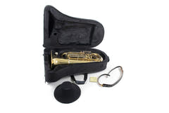 Roy Benson BBb-Tubat Roy Benson TB-202 - TB-202