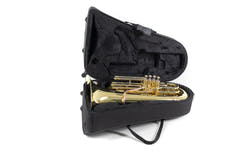 Roy Benson BBb-Tubat Roy Benson TB-312B - TB-312B