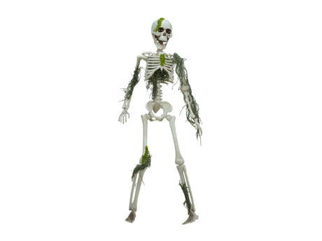 Halloween-skelet med mos, 40 cm