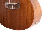 GEWA Concert Ukulele Manoa Kaleo - E-A Concert (Sapelli matt)