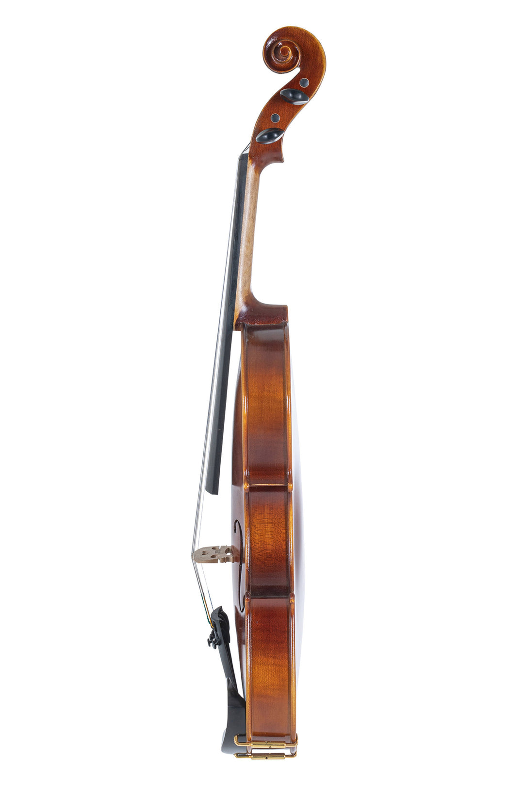 GEWA Violin Allegro - 4/4 lefthand (Valmis soitettavaksi inkl. shaped case, carbon bow, Larsen Aurora strings, transport-secured)