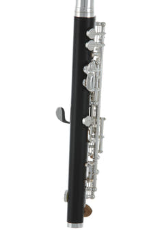 Roy Benson Piccolo huilu Roy Benson PC-502 - PC-502