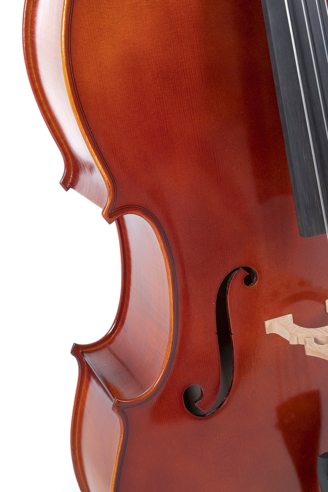 GEWA Sello Ideale - 1/2 (Ready to play incl. bag, Massaranduba bow, Larsen Aurora strings, transport-secured)
