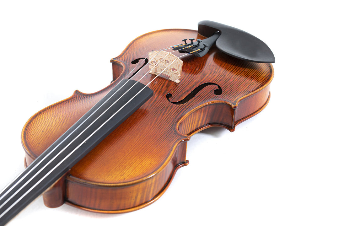 GEWA Viulut Maestro 2 - 4/4 (Ready to play)