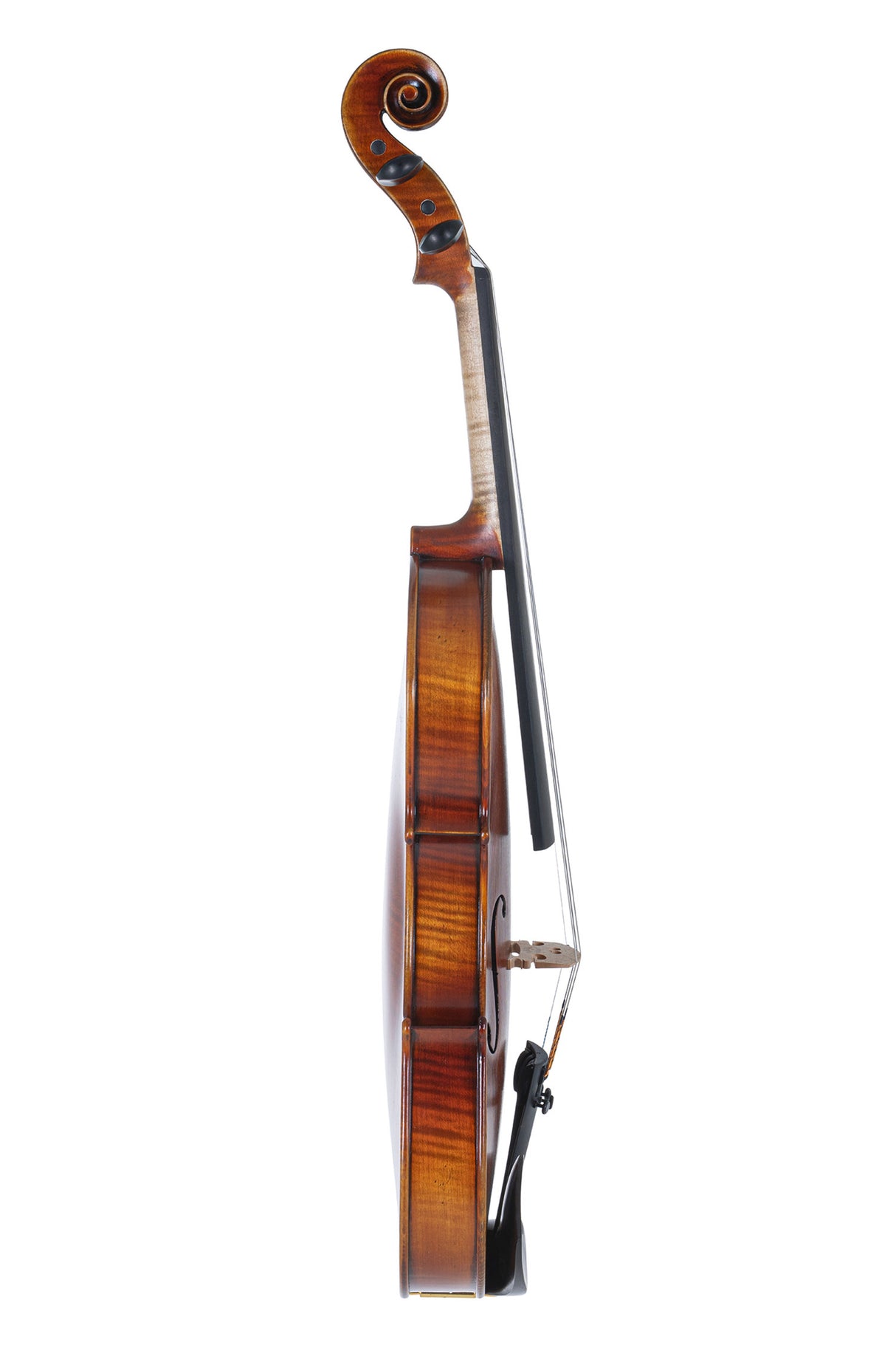 GEWA Violin Maestro 2 - 1/4 (Ready to play incl. violin case, carbon bow and Larsen Aurora strings)