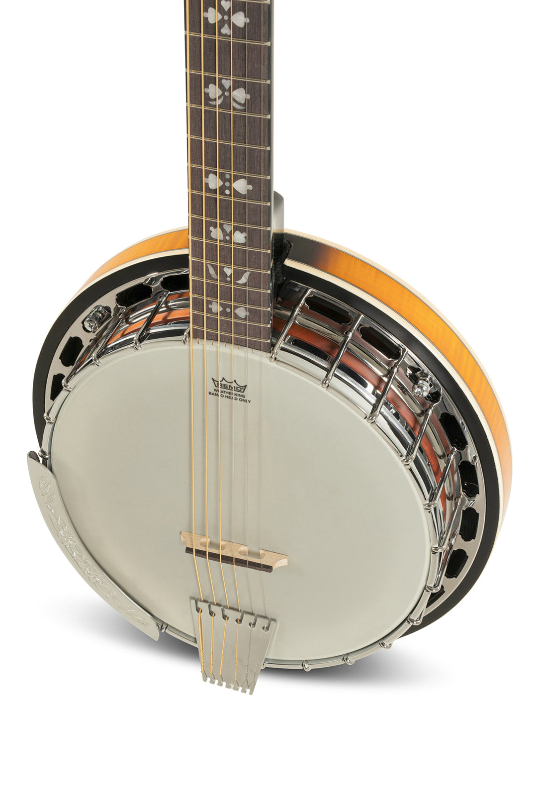GEWA Banjot Premium - 6-string (with case)