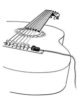 AKG C411PP Instrumenttimikrofoni (XLR)