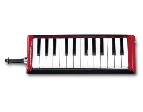 Suzuki bas Melodicat B-24C - 24 tangenter
