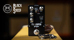 Black Sheep Black Sheep FX -looperi