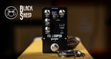 Black Sheep Black Sheep FX -looperi