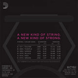 Daddario NYXL kitara jouset (09-42)