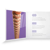 Daddario XSAPB1152 Fosforipronssinen kitarajousi (Custom Light, 11-52)