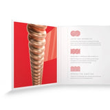 Daddario XSAPB1356 Fosforipronssinen kitarajousi (Medium, 13-56)