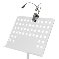 Kaksoisjoutsenkaula nuottilamput