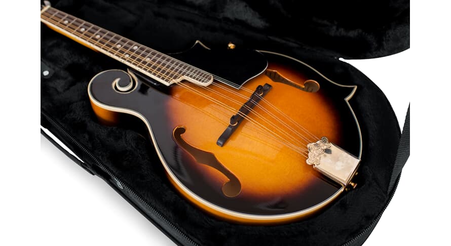 Gator GL-MANDOLIN case