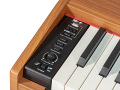 Grooveland DDP-140 sähköpiano (Tumma) Bundle
