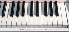 Grooveland DDP-140 El Klaver (Valkoinen)