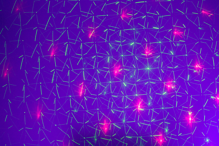 Ibiza Valopalkki LED + Laser
