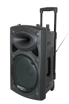 Ibiza Kannettava Kaiutin 15" Bassolla (Musta, 800W)