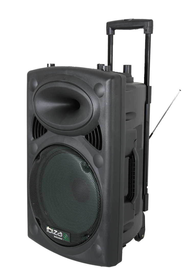 Ibiza Kannettava Kaiutin 15" Bassolla (Musta, 800W)