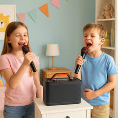 Karaoke järjestelmä 2 mikrofonilla (Musta)