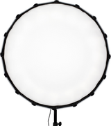 NanLite Dish Softbox Forza 60:lle