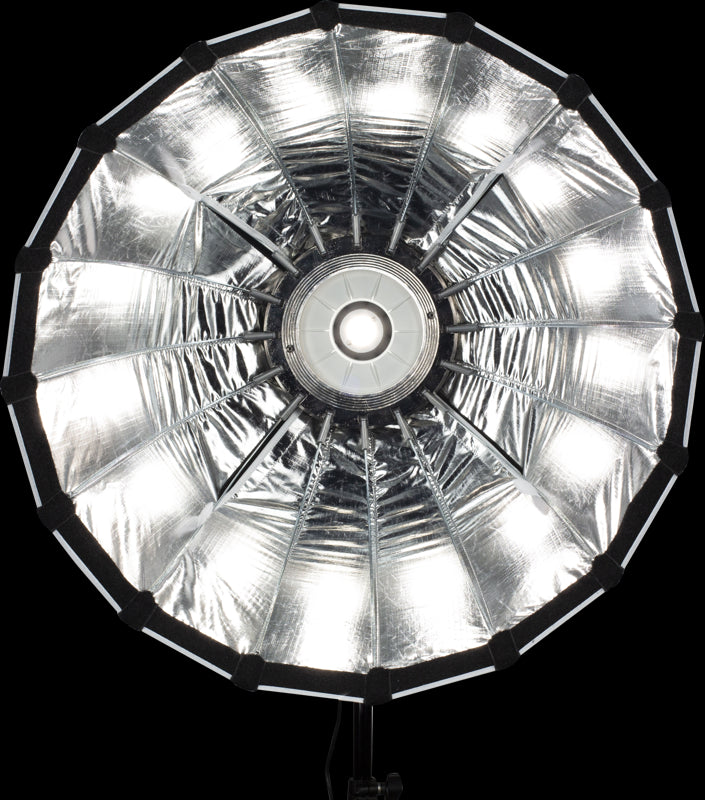 NanLite Dish Softbox Forza 60:lle