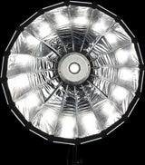 NanLite Dish Softbox Forza 60:lle