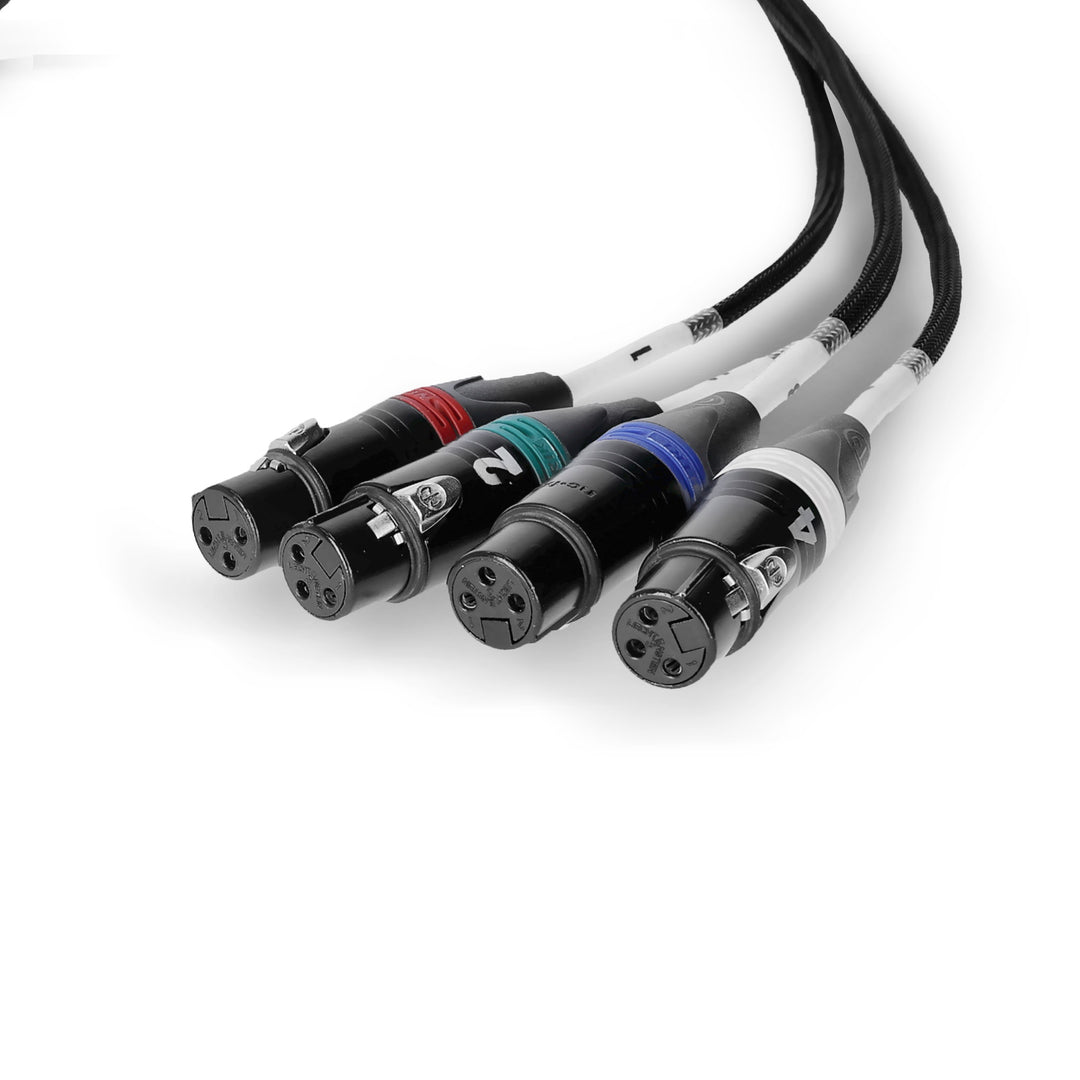 Palmer AoC Loom XLRf - Audio over Cat-kaapeli fra etherCON til 4 x XLR hunstik
