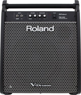 Roland PM-200 Scene Monitor