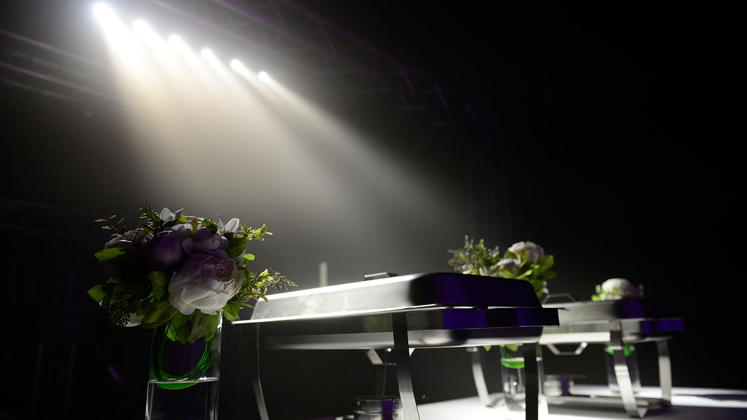 Chauvet Pinspot Bar