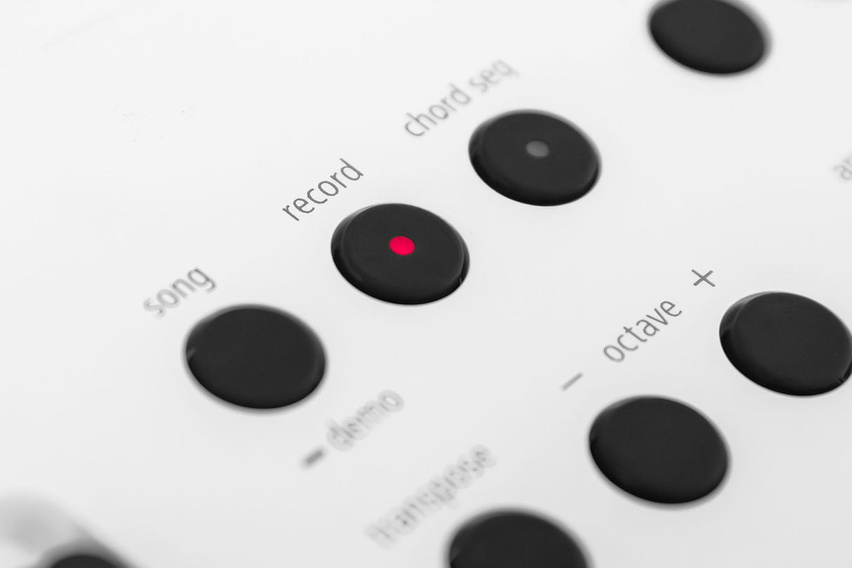 Roland GO:KEYS 5 Starter Kit (valkoinen)