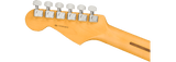 Fender American Professional II Stratocaster Sähkökitara (Dark Night)