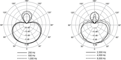Shure NXN8/S Nexadyne Dynaaminen Mikrofon (Superkardioidi, Musta)