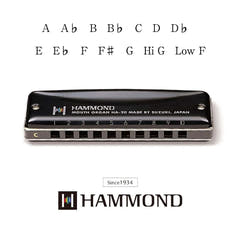Hammond HA-20 Harmonikat (C)