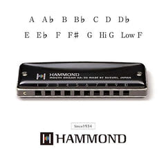Suzuki Hammond HA-20 Harmonikat (F#)