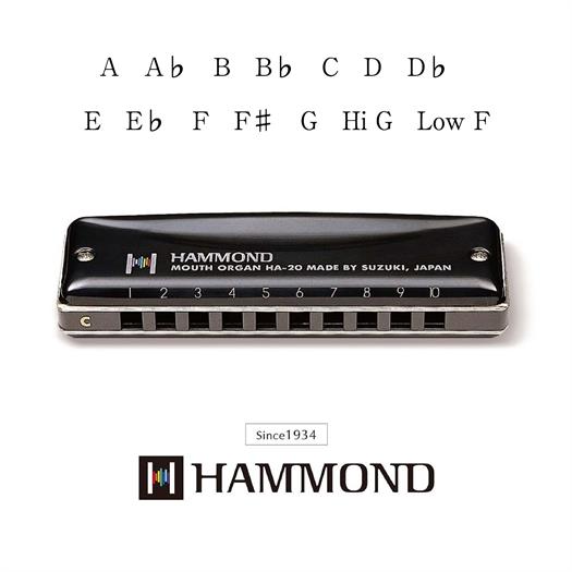 Suzuki Hammond HA-20 Harmonikat (F#)