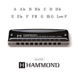 Suzuki Hammond HA-20 Harmonikat (F#)