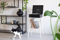 Crosley - Manchester Levysoitin Huonekalu (Valkoinen)